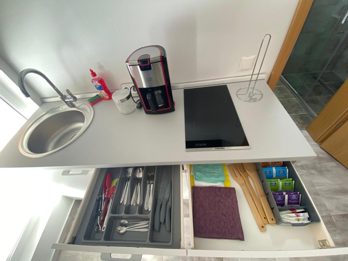 Păltiniş Red Family Apartments מראה חיצוני תמונה
