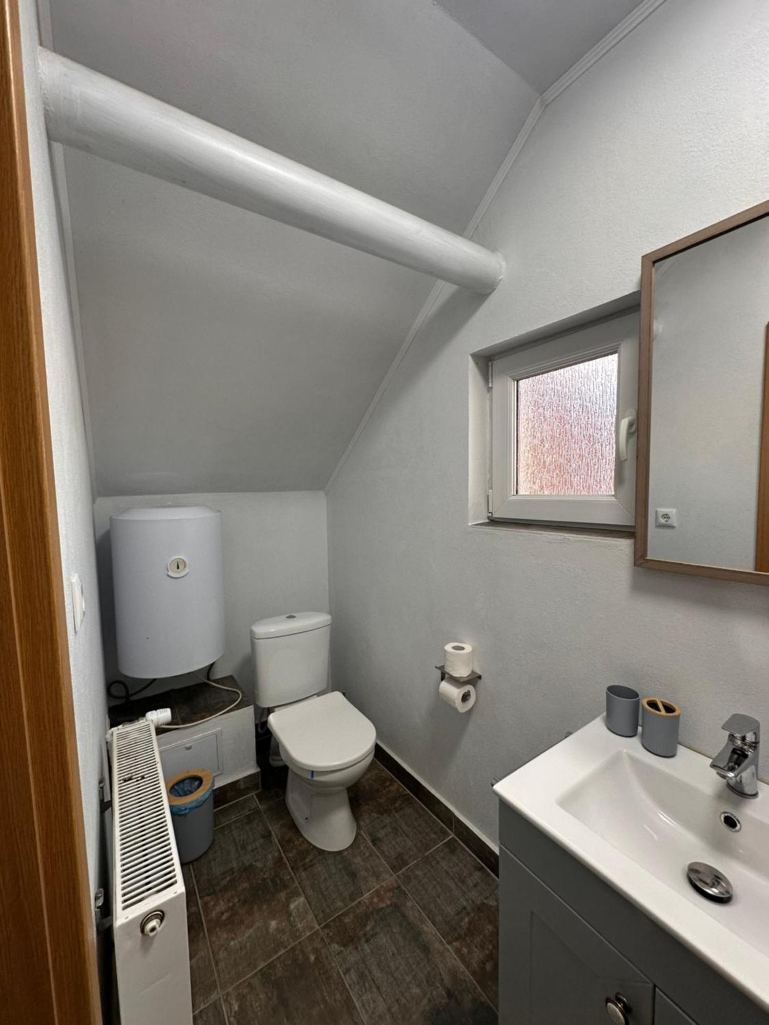 Păltiniş Red Family Apartments מראה חיצוני תמונה