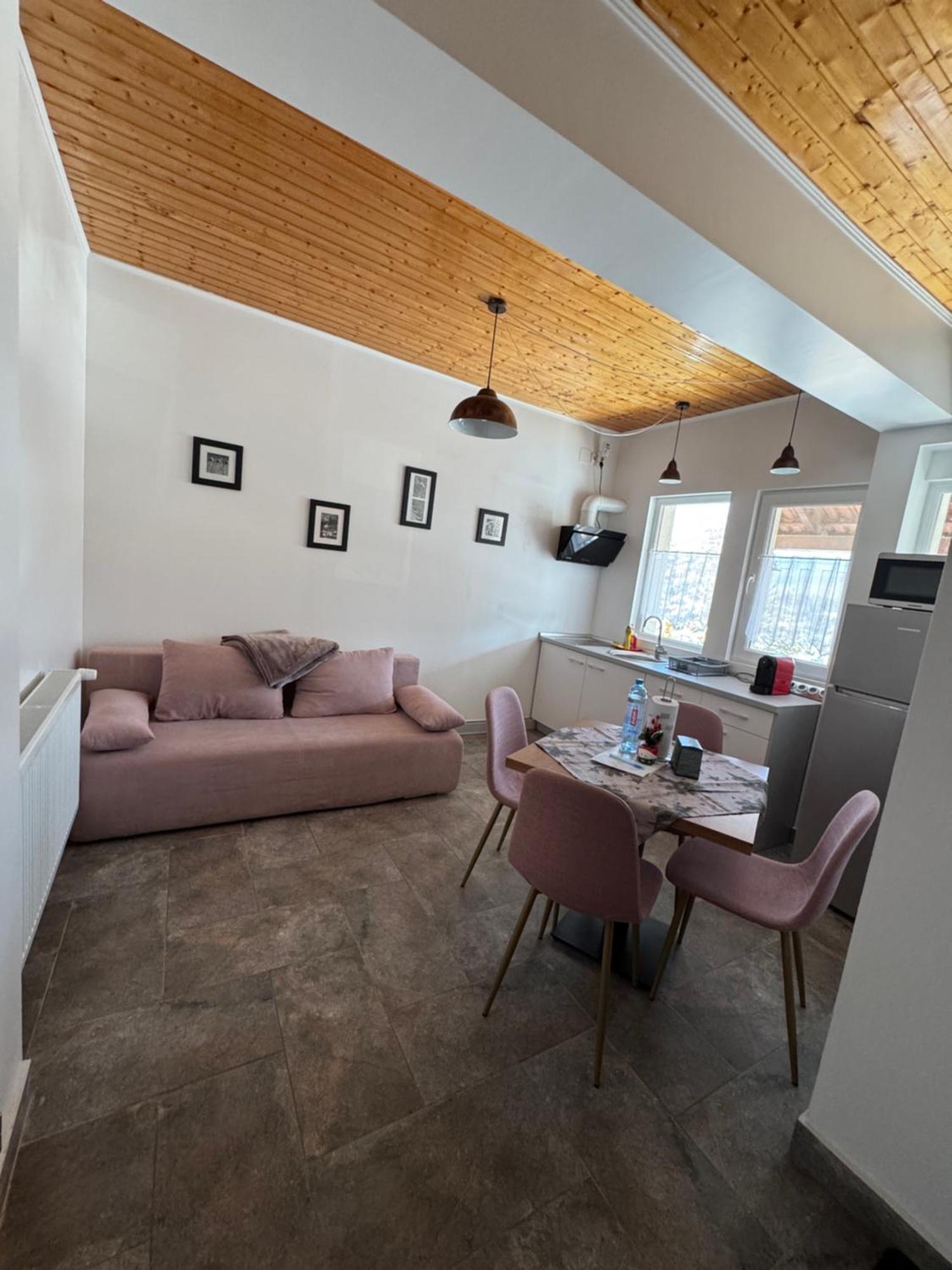 Păltiniş Red Family Apartments מראה חיצוני תמונה