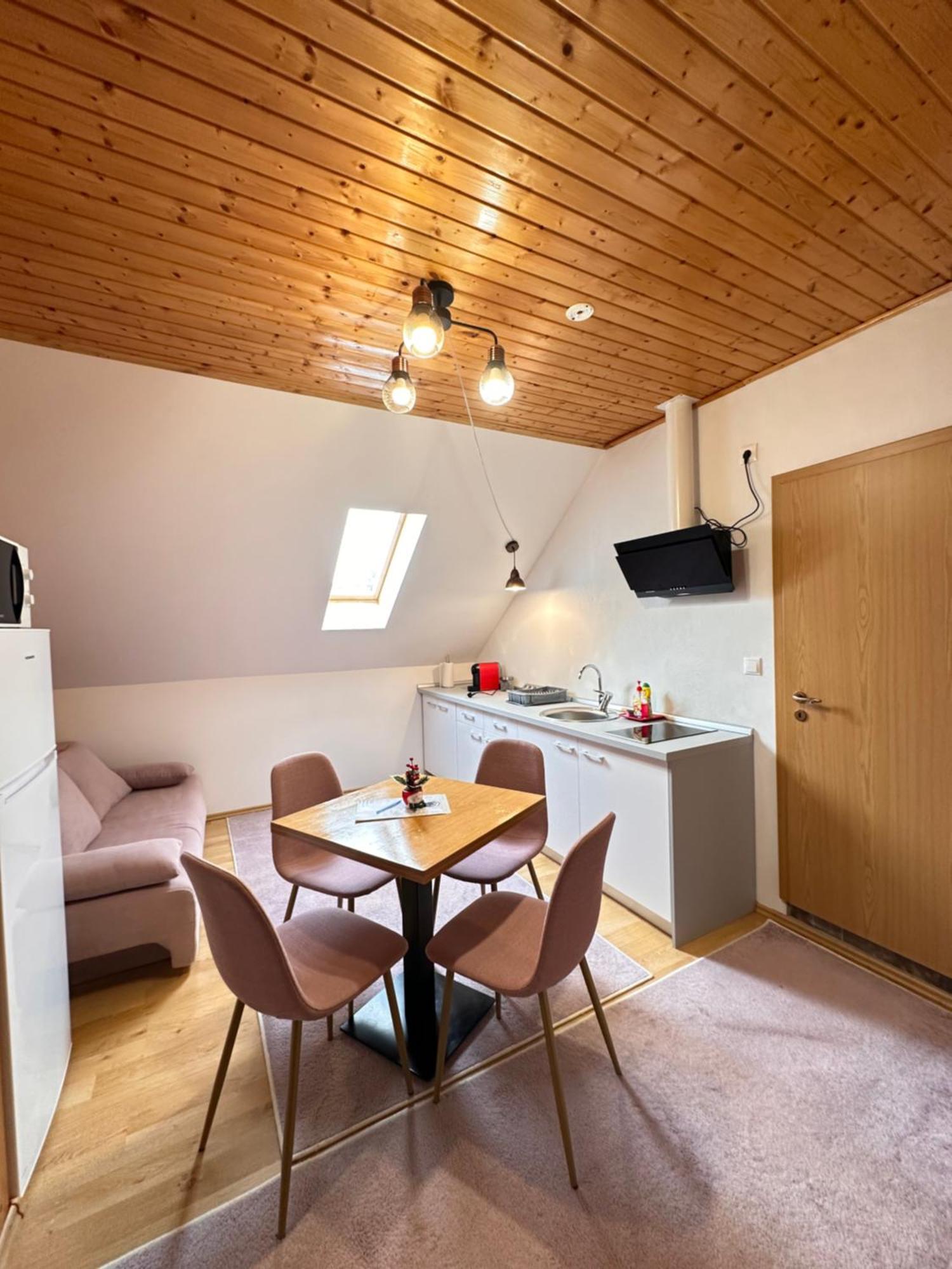 Păltiniş Red Family Apartments מראה חיצוני תמונה